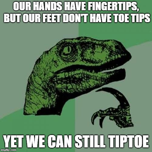 Am I blowing your mind yet? | OUR HANDS HAVE FINGERTIPS, BUT OUR FEET DON'T HAVE TOE TIPS; YET WE CAN STILL TIPTOE | image tagged in memes,philosoraptor | made w/ Imgflip meme maker