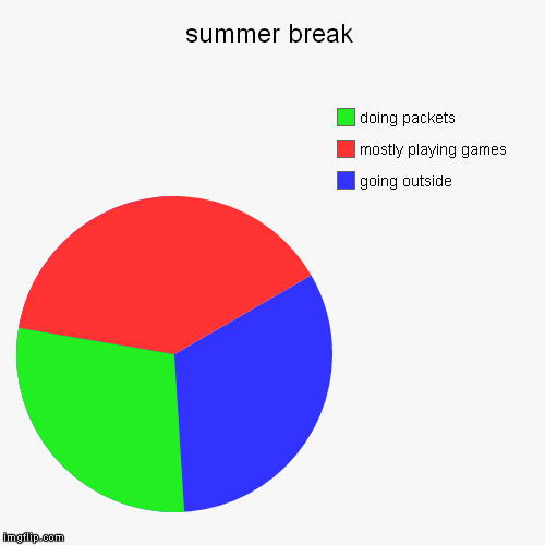 summer break | going outside, mostly playing games, doing packets | image tagged in funny,pie charts | made w/ Imgflip chart maker