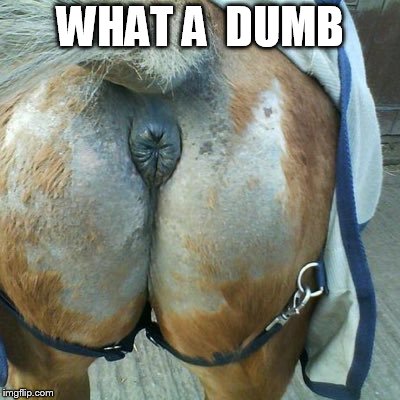 its  Hillary's yearbook photo!"Finally found"    | WHAT A  DUMB | image tagged in hillary clinton,what a horse's ass,dumbass,horse butt | made w/ Imgflip meme maker
