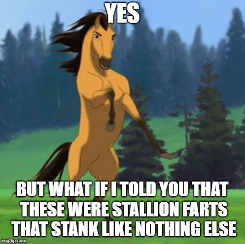Spirit Deal with It | YES BUT WHAT IF I TOLD YOU THAT THESE WERE STALLION FARTS THAT STANK LIKE NOTHING ELSE | image tagged in spirit deal with it | made w/ Imgflip meme maker