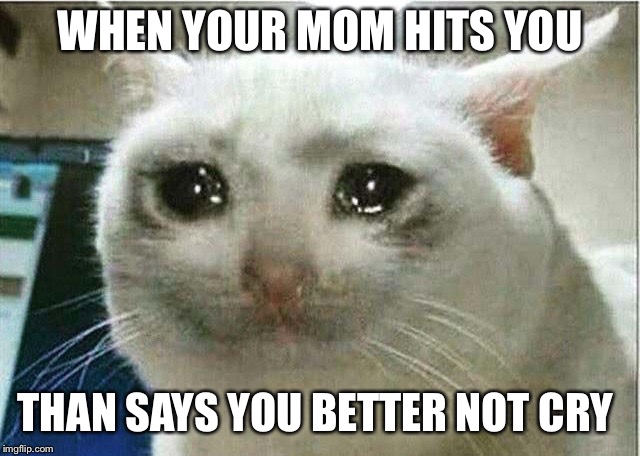 Mom | WHEN YOUR MOM HITS YOU; THAN SAYS YOU BETTER NOT CRY | image tagged in sad cat,your mom | made w/ Imgflip meme maker