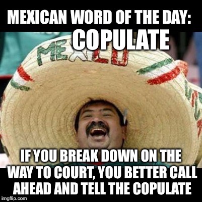 Mexican Word of the Day (LARGE) | COPULATE; IF YOU BREAK DOWN ON THE WAY TO COURT, YOU BETTER CALL AHEAD AND TELL THE COPULATE | image tagged in mexican word of the day large | made w/ Imgflip meme maker