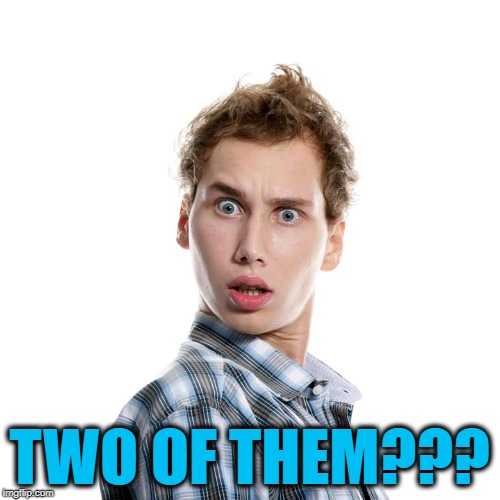 TWO OF THEM??? | image tagged in shocked | made w/ Imgflip meme maker