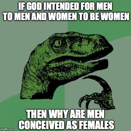 Philosoraptor Meme | IF GOD INTENDED FOR MEN TO MEN AND WOMEN TO BE WOMEN THEN WHY ARE MEN CONCEIVED AS FEMALES | image tagged in memes,philosoraptor | made w/ Imgflip meme maker