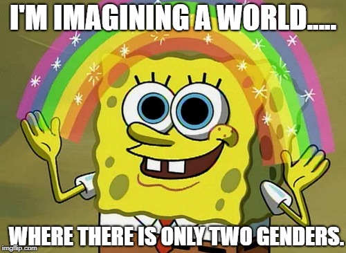 I'm only just wishing as hard a I can. | I'M IMAGINING A WORLD..... WHERE THERE IS ONLY TWO GENDERS. | image tagged in memes,imagination spongebob | made w/ Imgflip meme maker