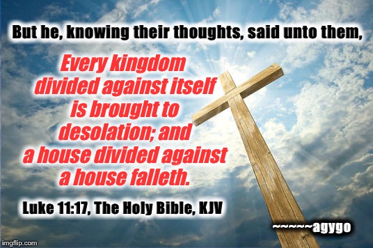 A house divided | Every kingdom divided against itself is brought to desolation; and a house divided against a house falleth. But he, knowing their thoughts, said unto them, Luke 11:17, The Holy Bible, KJV; ~~~~~agygo | image tagged in memes,luke 1117 | made w/ Imgflip meme maker