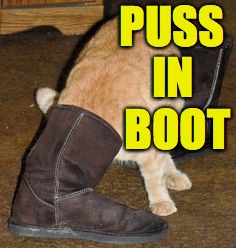 Or Cat in a Flat? | PUSS; IN BOOT | image tagged in stink foot,memes,puss in boots | made w/ Imgflip meme maker