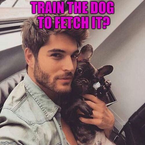 TRAIN THE DOG TO FETCH IT? | made w/ Imgflip meme maker