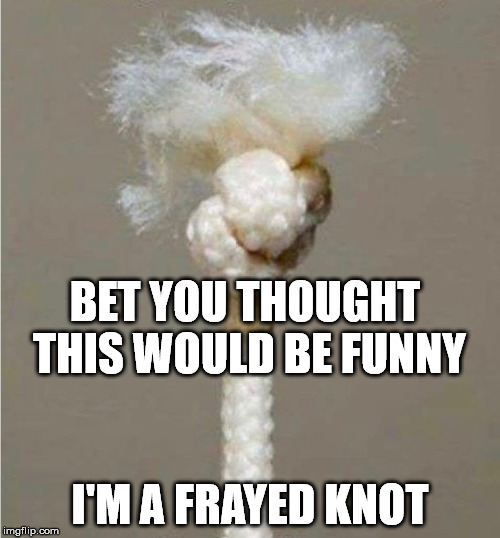 BET YOU THOUGHT THIS WOULD BE FUNNY; I'M A FRAYED KNOT | image tagged in knot | made w/ Imgflip meme maker
