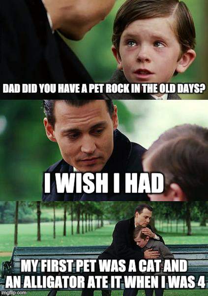 Finding Neverland | DAD DID YOU HAVE A PET ROCK IN THE OLD DAYS? I WISH I HAD; MY FIRST PET WAS A CAT AND AN ALLIGATOR ATE IT WHEN I WAS 4 | image tagged in memes,finding neverland | made w/ Imgflip meme maker