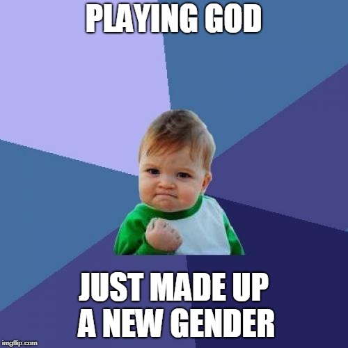 Success Kid Meme | PLAYING GOD JUST MADE UP A NEW GENDER | image tagged in memes,success kid | made w/ Imgflip meme maker