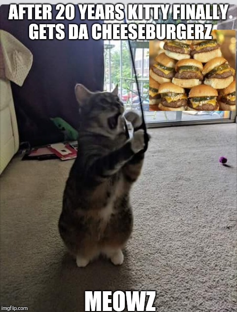 i can has cheeseburgers | AFTER 20 YEARS KITTY FINALLY GETS DA CHEESEBURGERZ; MEOWZ | image tagged in cheeseburger,cat | made w/ Imgflip meme maker