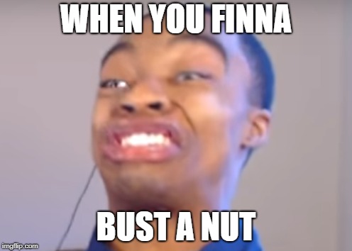 when you finna bust a nut | WHEN YOU FINNA; BUST A NUT | image tagged in flight | made w/ Imgflip meme maker