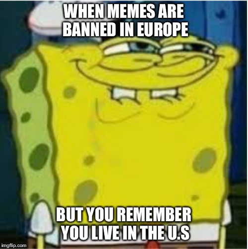 WHEN MEMES ARE BANNED IN EUROPE; BUT YOU REMEMBER YOU LIVE IN THE U.S | image tagged in memes | made w/ Imgflip meme maker