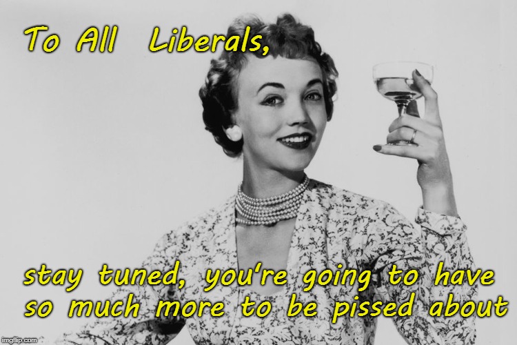 Woman Toasting Liberals | To All  Liberals, stay tuned, you're going to have so much more to be pissed about | image tagged in liberals,pissed off | made w/ Imgflip meme maker