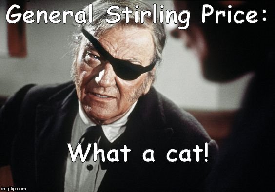 John Wayne | General Stirling Price: What a cat! | image tagged in john wayne | made w/ Imgflip meme maker