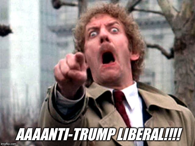 Screaming Donald Sutherland | AAAANTI-TRUMP LIBERAL!!!! | image tagged in screaming donald sutherland | made w/ Imgflip meme maker