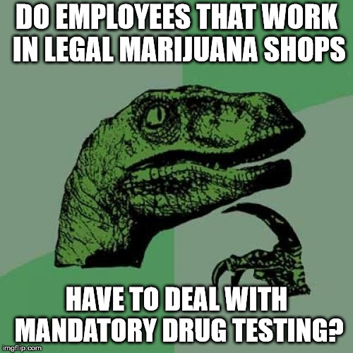 Can they get in trouble if their tests don't show up positive | DO EMPLOYEES THAT WORK IN LEGAL MARIJUANA SHOPS; HAVE TO DEAL WITH MANDATORY DRUG TESTING? | image tagged in memes,philosoraptor,marijuana,mandatory drug testing | made w/ Imgflip meme maker