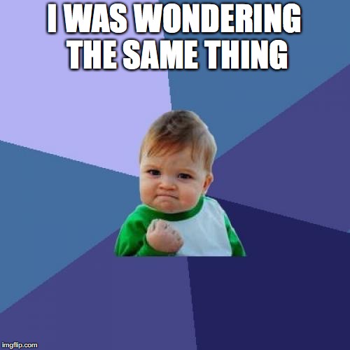 Success Kid Meme | I WAS WONDERING THE SAME THING | image tagged in memes,success kid | made w/ Imgflip meme maker
