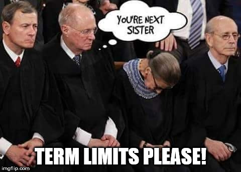 TERM LIMITS PLEASE! | image tagged in term limits please | made w/ Imgflip meme maker