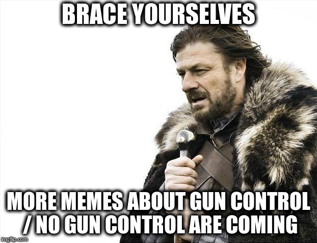 Here We Go Again | BRACE YOURSELVES; MORE MEMES ABOUT GUN CONTROL / NO GUN CONTROL ARE COMING | image tagged in memes,brace yourselves x is coming | made w/ Imgflip meme maker