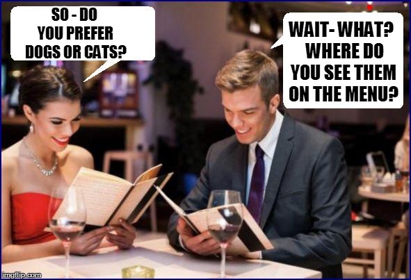 Dinner dating | SO - DO YOU PREFER DOGS OR CATS? WAIT- WHAT?  WHERE DO YOU SEE THEM ON THE MENU? | image tagged in funny | made w/ Imgflip meme maker