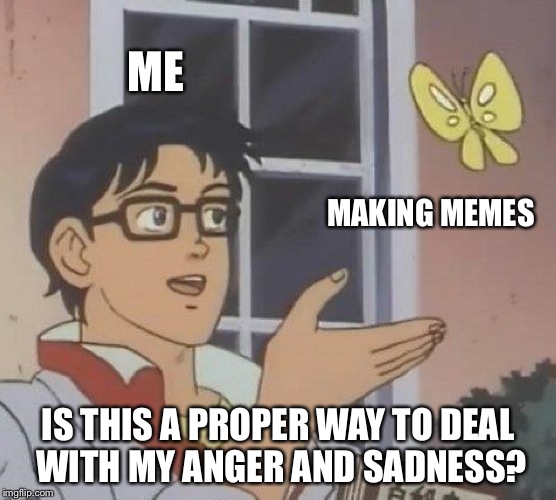Is This A Pigeon Meme | ME; MAKING MEMES; IS THIS A PROPER WAY TO DEAL WITH MY ANGER AND SADNESS? | image tagged in memes,is this a pigeon | made w/ Imgflip meme maker