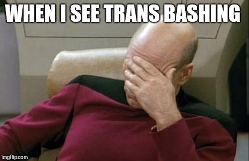 Captain Picard Facepalm Meme | WHEN I SEE TRANS BASHING | image tagged in memes,captain picard facepalm | made w/ Imgflip meme maker