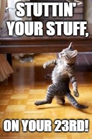 Like a Boss Kitty  | STUTTIN' YOUR STUFF, ON YOUR 23RD! | image tagged in like a boss kitty | made w/ Imgflip meme maker