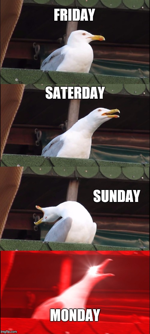 Inhaling Seagull | FRIDAY; SATERDAY; SUNDAY; MONDAY | image tagged in memes,inhaling seagull | made w/ Imgflip meme maker