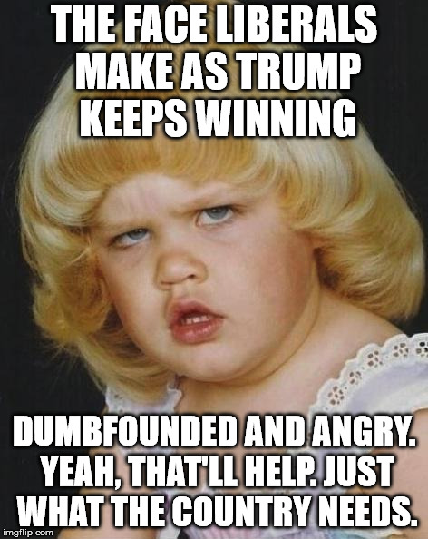Confused Girl | THE FACE LIBERALS MAKE AS TRUMP KEEPS WINNING; DUMBFOUNDED AND ANGRY. YEAH, THAT'LL HELP. JUST WHAT THE COUNTRY NEEDS. | image tagged in confused girl | made w/ Imgflip meme maker
