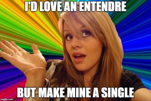 Double entendre anyone? | I'D LOVE AN ENTENDRE; BUT MAKE MINE A SINGLE | image tagged in stupid girl meme,double entendres | made w/ Imgflip meme maker