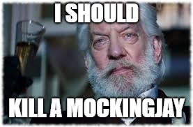 I SHOULD KILL A MOCKINGJAY | made w/ Imgflip meme maker