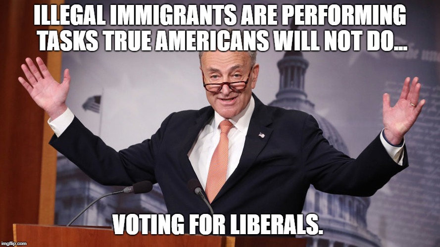 Chuck Schumer | ILLEGAL IMMIGRANTS ARE PERFORMING TASKS TRUE AMERICANS WILL NOT DO... VOTING FOR LIBERALS. | image tagged in chuck schumer | made w/ Imgflip meme maker
