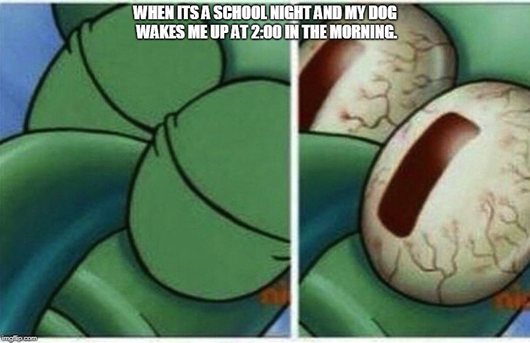 I still love her though :3
 | WHEN ITS A SCHOOL NIGHT AND MY DOG WAKES ME UP AT 2:00 IN THE MORNING. | image tagged in squidward,dog,garygilbenson | made w/ Imgflip meme maker