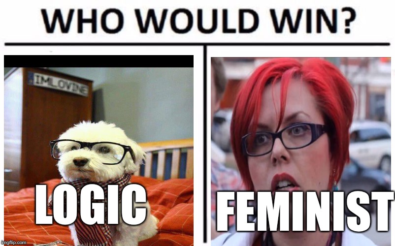 Who Would Win? | LOGIC; FEMINIST | image tagged in memes,who would win | made w/ Imgflip meme maker