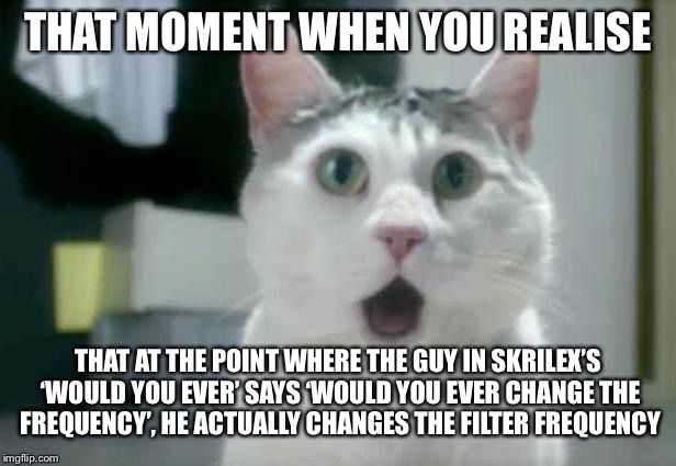 OMG Cat Meme | THAT MOMENT WHEN YOU REALISE; THAT AT THE POINT WHERE THE GUY IN SKRILEX’S ‘WOULD YOU EVER’ SAYS ‘WOULD YOU EVER CHANGE THE FREQUENCY’, HE ACTUALLY CHANGES THE FILTER FREQUENCY | image tagged in memes,omg cat | made w/ Imgflip meme maker