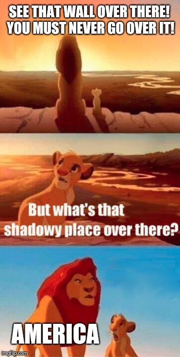 Simba Shadowy Place Meme | SEE THAT WALL OVER THERE! YOU MUST NEVER GO OVER IT! AMERICA | image tagged in memes,simba shadowy place | made w/ Imgflip meme maker