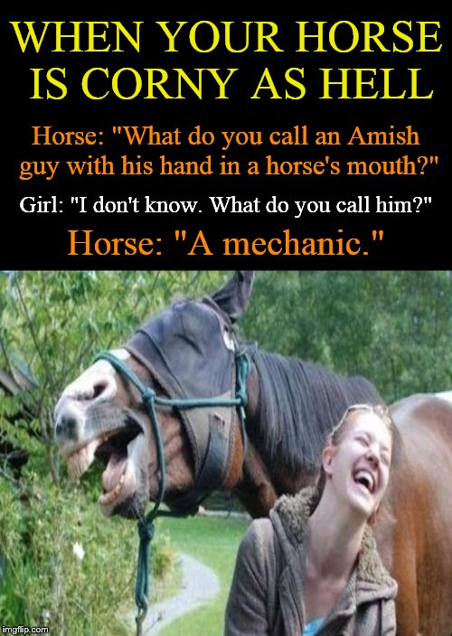 Talking to a Horse.