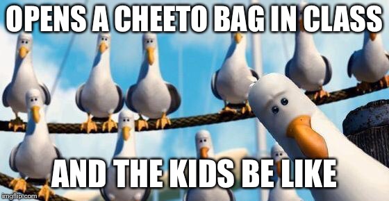 Mine seagulls | OPENS A CHEETO BAG IN CLASS; AND THE KIDS BE LIKE | image tagged in mine seagulls | made w/ Imgflip meme maker