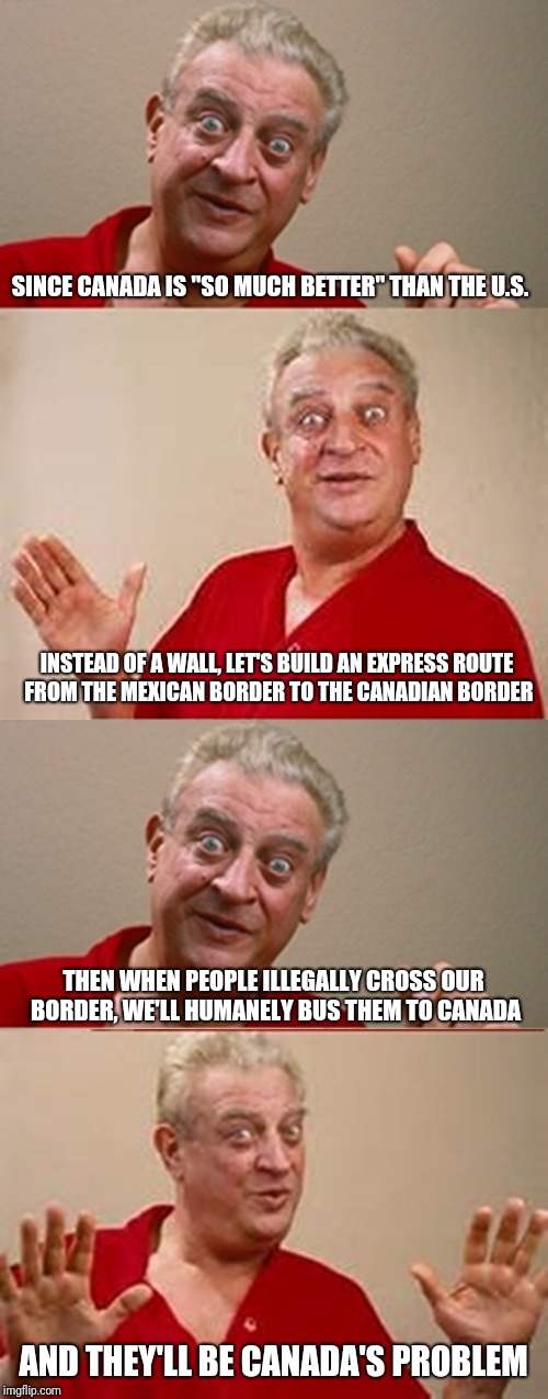 Bad Pun Rodney Dangerfield | SINCE CANADA IS "SO MUCH BETTER" THAN THE U.S. INSTEAD OF A WALL, LET'S BUILD AN EXPRESS ROUTE FROM THE MEXICAN BORDER TO THE CANADIAN BORDER; THEN WHEN PEOPLE ILLEGALLY CROSS OUR BORDER, WE'LL HUMANELY BUS THEM TO CANADA; AND THEY'LL BE CANADA'S PROBLEM | image tagged in bad pun rodney dangerfield | made w/ Imgflip meme maker