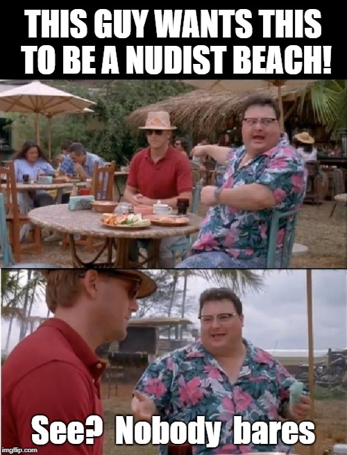 THIS GUY WANTS THIS TO BE A NUDIST BEACH! See?  Nobody  bares | made w/ Imgflip meme maker