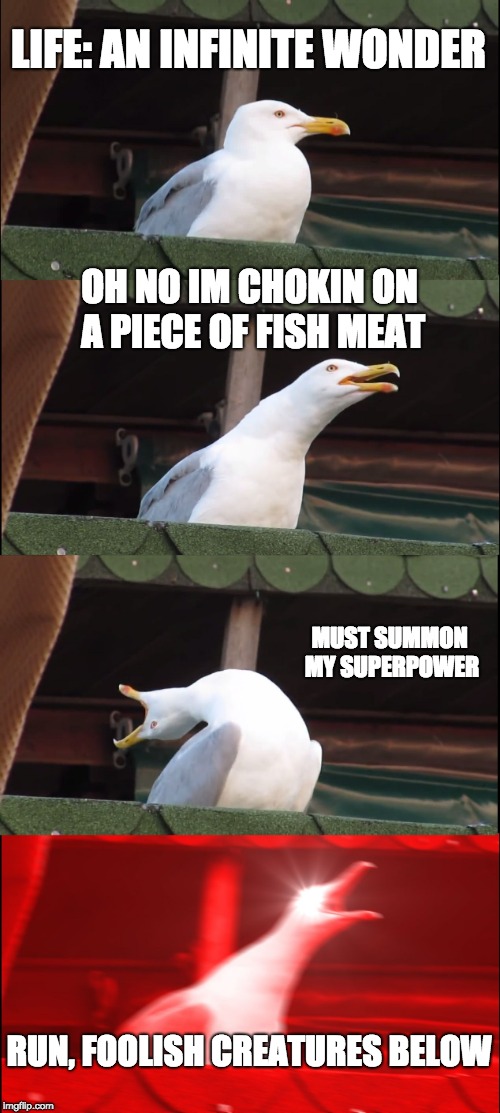 Inhaling Seagull Meme | LIFE: AN INFINITE WONDER; OH NO IM CHOKIN ON A PIECE OF FISH MEAT; MUST SUMMON MY SUPERPOWER; RUN, FOOLISH CREATURES BELOW | image tagged in memes,inhaling seagull | made w/ Imgflip meme maker