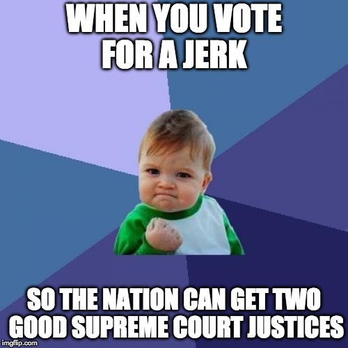 Plus jobs are coming back! | WHEN YOU VOTE FOR A JERK; SO THE NATION CAN GET TWO GOOD SUPREME COURT JUSTICES | image tagged in success kid,donald trump,supreme court,make america great again,liberal,hillary clinton | made w/ Imgflip meme maker