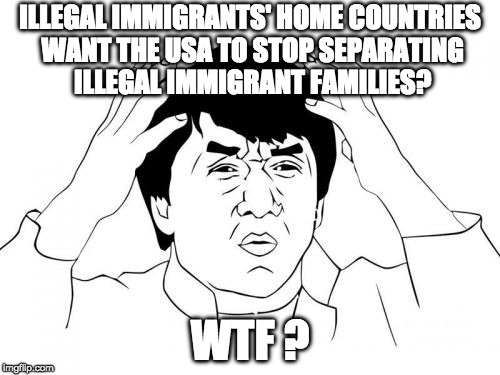 Jackie Chan WTF Meme | ILLEGAL IMMIGRANTS' HOME COUNTRIES WANT THE USA TO STOP SEPARATING ILLEGAL IMMIGRANT FAMILIES? WTF ? | image tagged in memes,jackie chan wtf | made w/ Imgflip meme maker