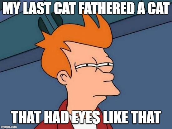 Futurama Fry Meme | MY LAST CAT FATHERED A CAT THAT HAD EYES LIKE THAT | image tagged in memes,futurama fry | made w/ Imgflip meme maker