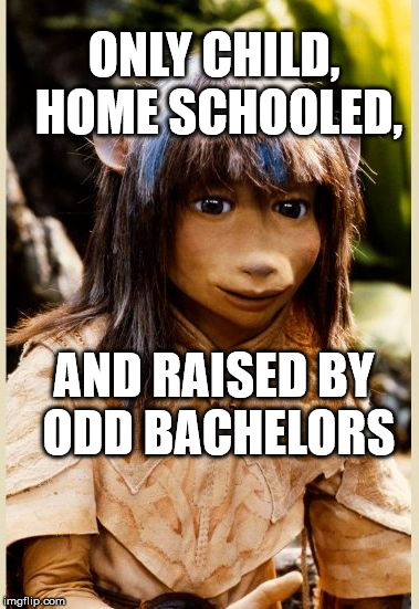 ONLY CHILD, HOME SCHOOLED, AND RAISED BY ODD BACHELORS | image tagged in introspective jen | made w/ Imgflip meme maker