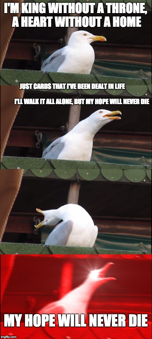 Inhaling Seagull | I'M KING WITHOUT A THRONE, A HEART WITHOUT A HOME; JUST CARDS THAT I'VE BEEN DEALT IN LIFE
                                                                   
I'LL WALK IT ALL ALONE, BUT MY HOPE WILL NEVER DIE; MY HOPE WILL NEVER DIE | image tagged in memes,inhaling seagull | made w/ Imgflip meme maker