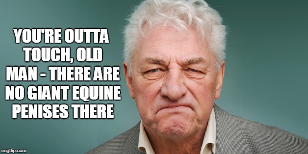 YOU'RE OUTTA TOUCH, OLD MAN - THERE ARE NO GIANT EQUINE P**ISES THERE | made w/ Imgflip meme maker