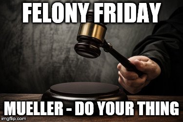 Supreme court | FELONY FRIDAY; MUELLER - DO YOUR THING | image tagged in supreme court | made w/ Imgflip meme maker